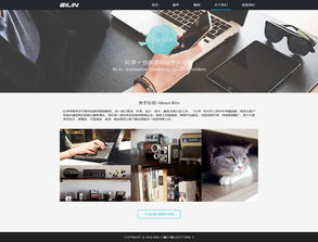 比鄰文化傳媒公司網頁改版與網絡媒體設計制作方案