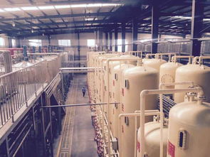 走在前列謀新跨越，全國網媒聚焦山東“轉調創”發展新篇章